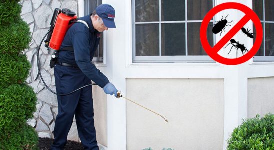 Sarıgöl Böcek ve Haşere İlaçlama böcek ilaçlama ve haşere kontrolü — ilaclama-tr.com